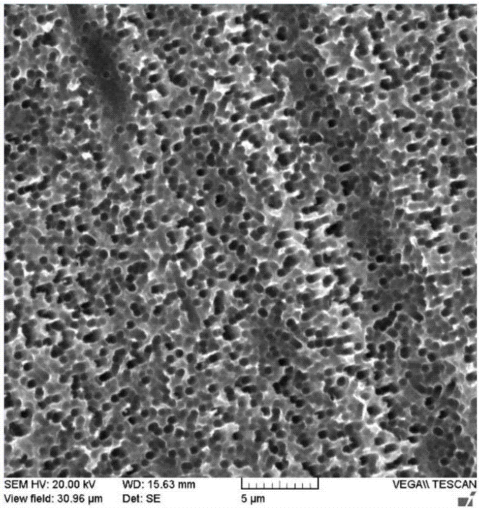 One-step wet process black silicon preparation and surface treatment method