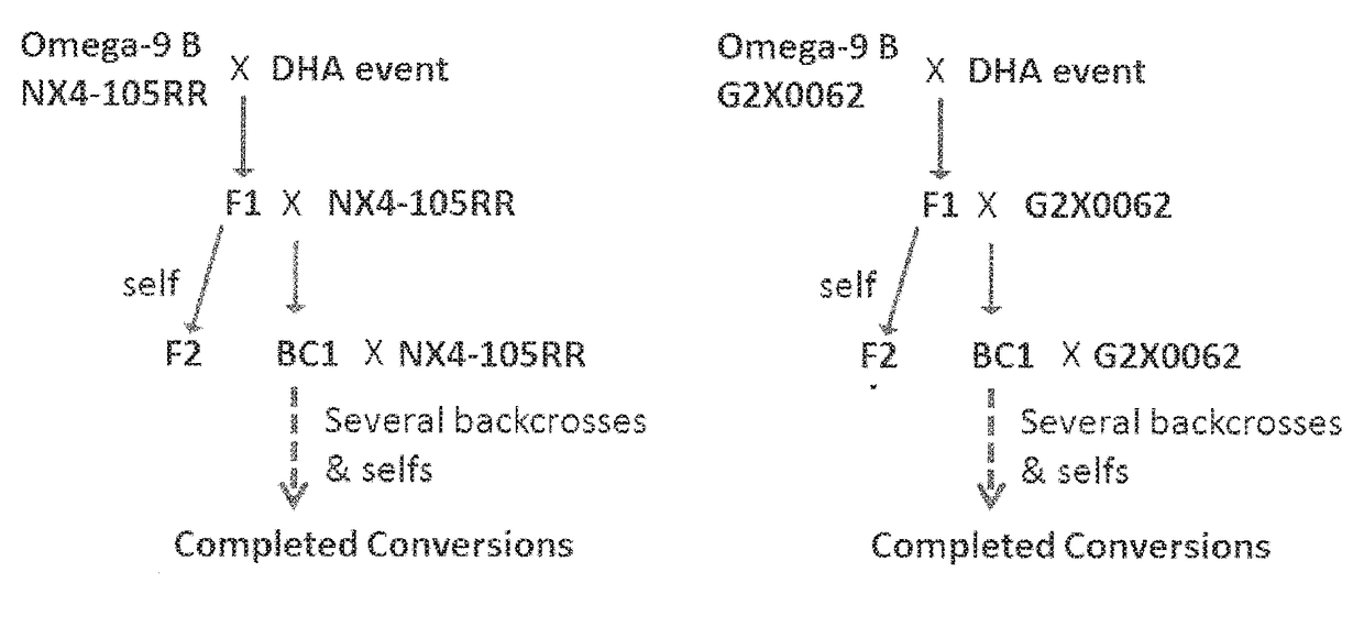 Methods and systems using ftir for plant trait detection and trait introgression