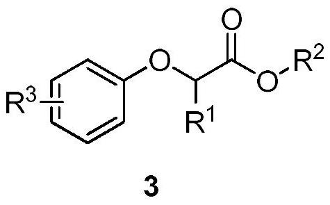 Application of a Surface Modified Sludge Carbon Catalyst