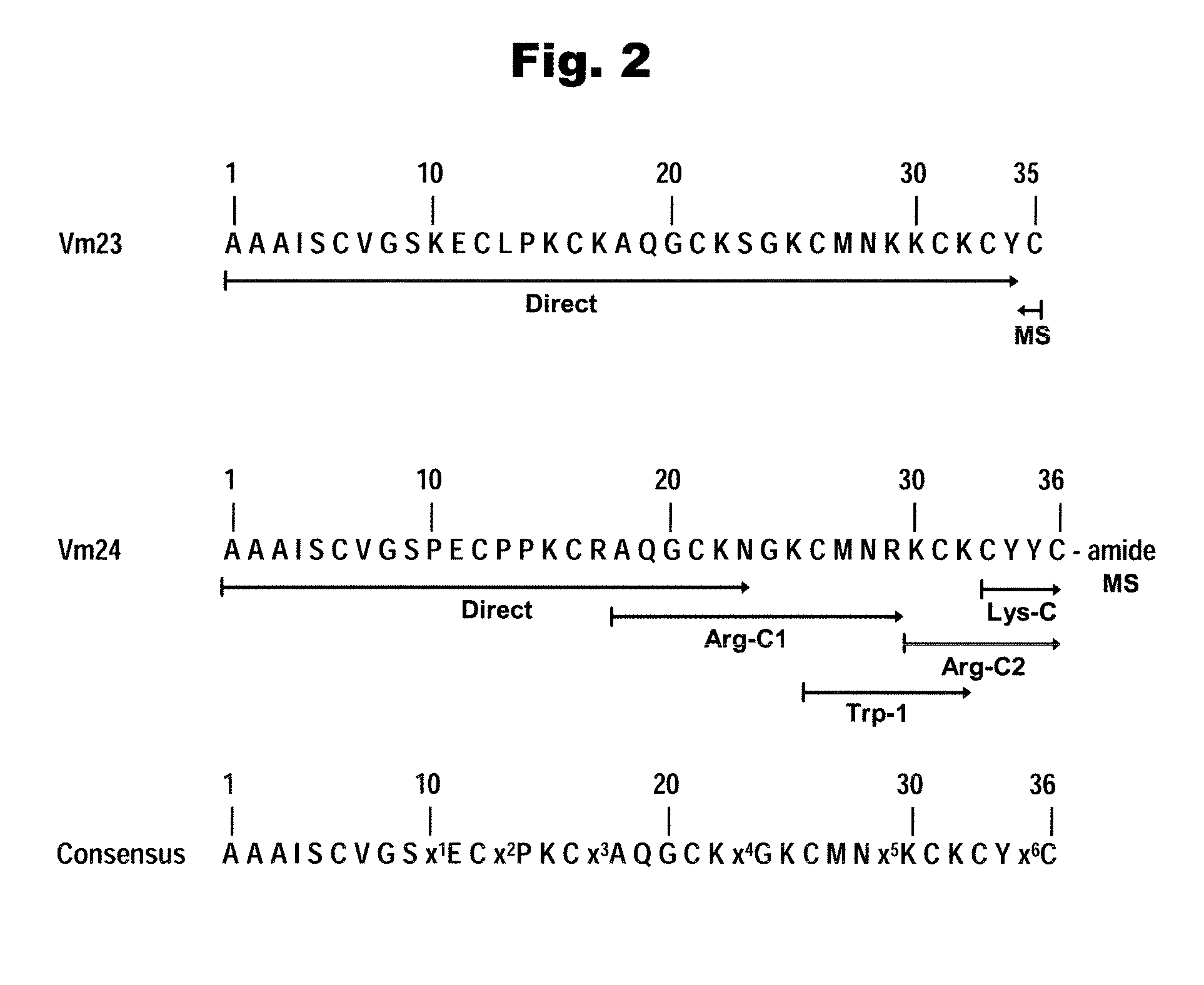 Vm23 and Vm24, two scorpion peptides that block human T-lymphocyte potassium channels (sub-type Kv1.3) with high selectivity and decrease the in vivo DTH-responses in rats