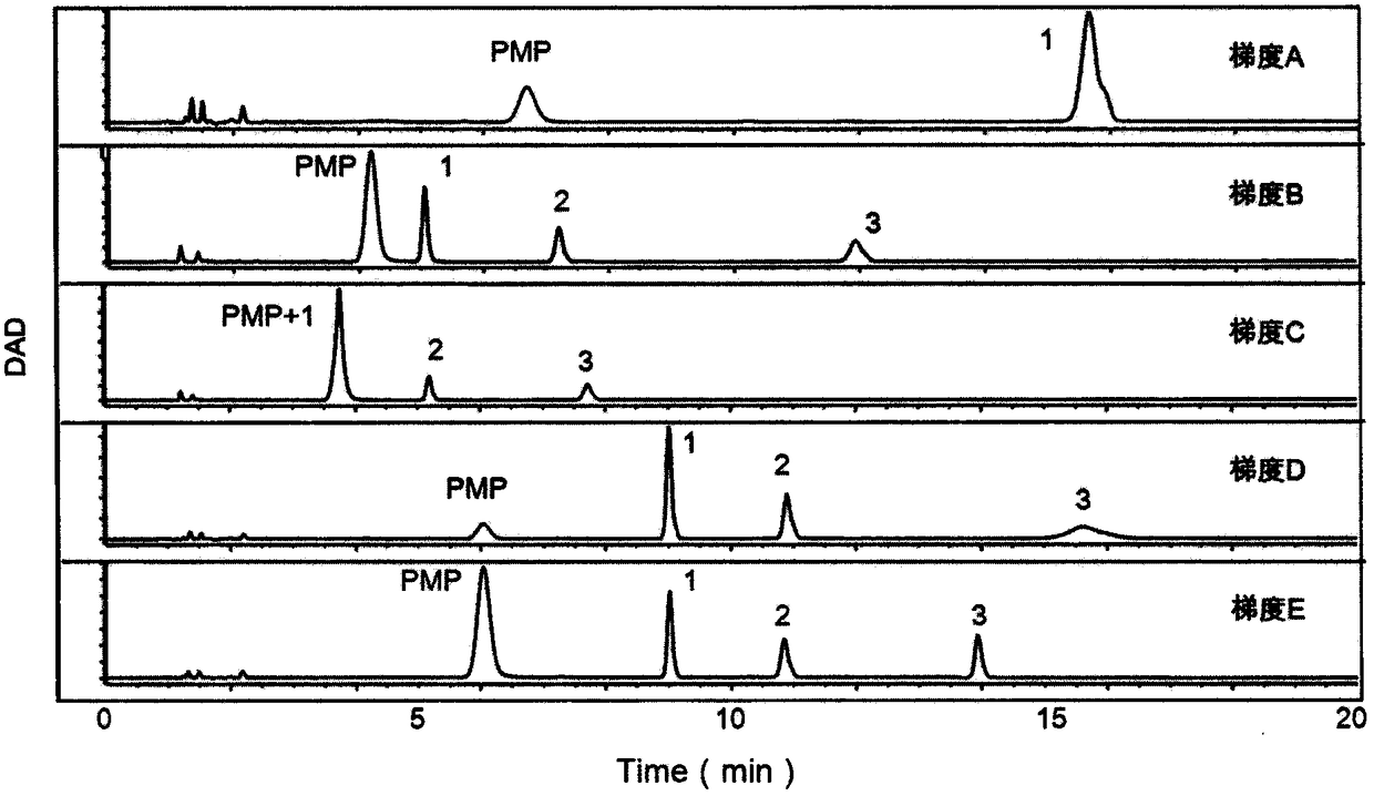 Method and detection kit for identifying lymphoma biomarkers