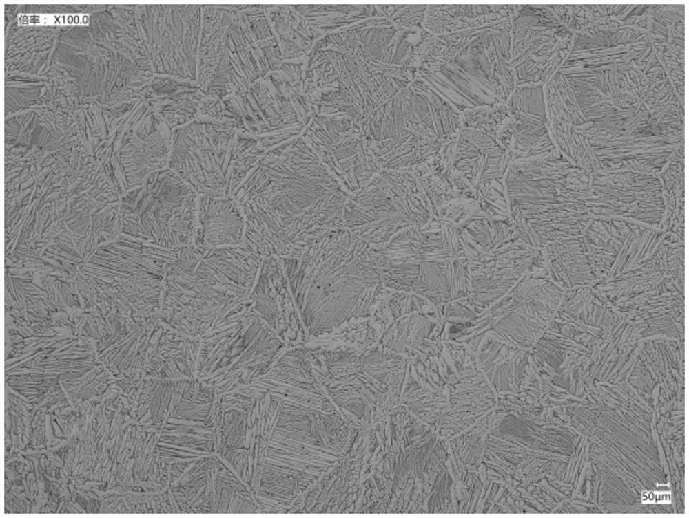 Low-cost porous titanium alloy metallographic polishing reagent and polishing process