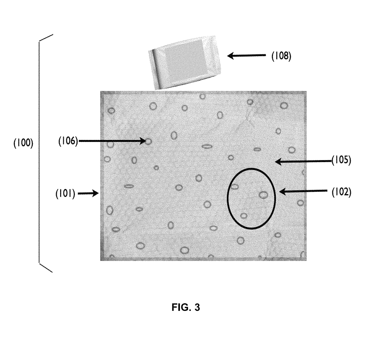 Apparatus and method for controlled release of botanical fumigant pesticides