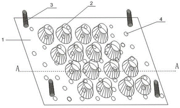 Sizing mould for flower tea of golden camellia for electrostatic field drying