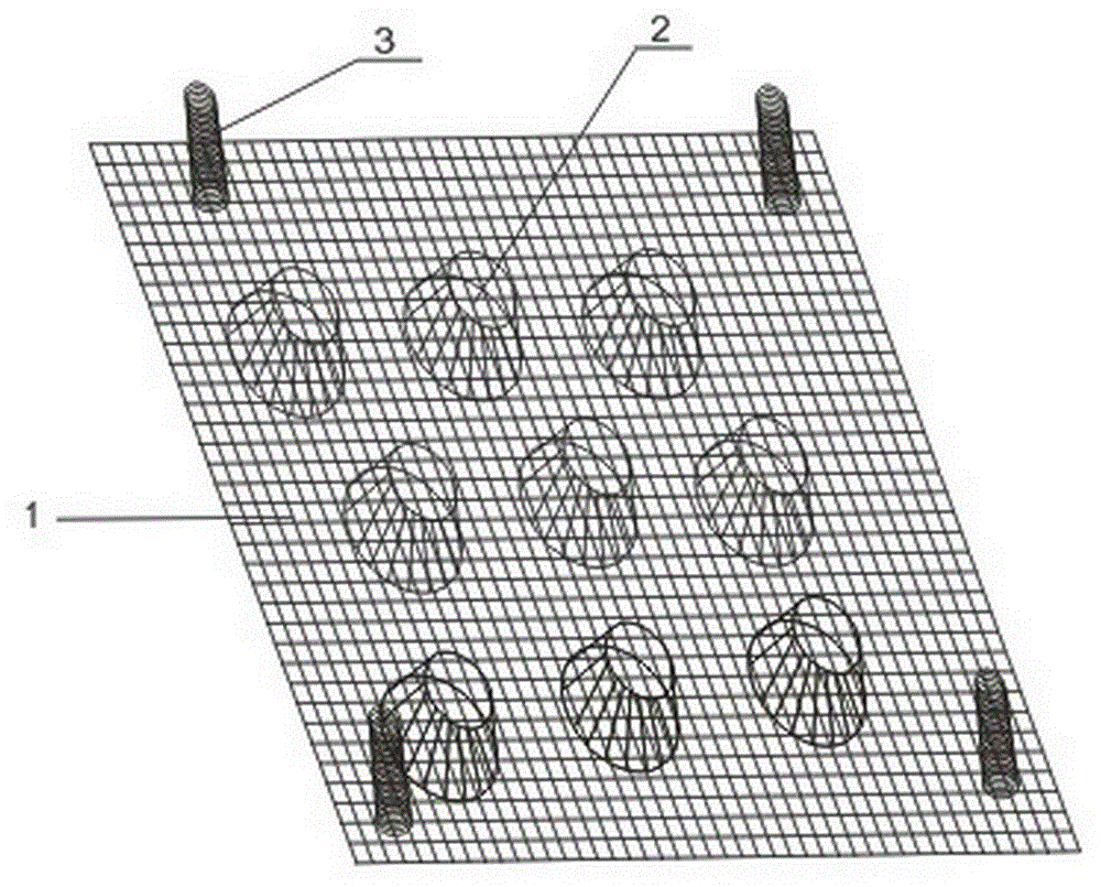 Sizing mould for flower tea of golden camellia for electrostatic field drying