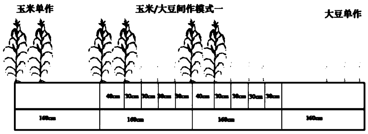 Method for screening corn genotype capable of improving nitrogen efficiency of corn/soybean intercropping system