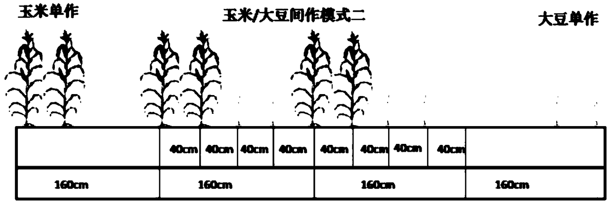 Method for screening corn genotype capable of improving nitrogen efficiency of corn/soybean intercropping system