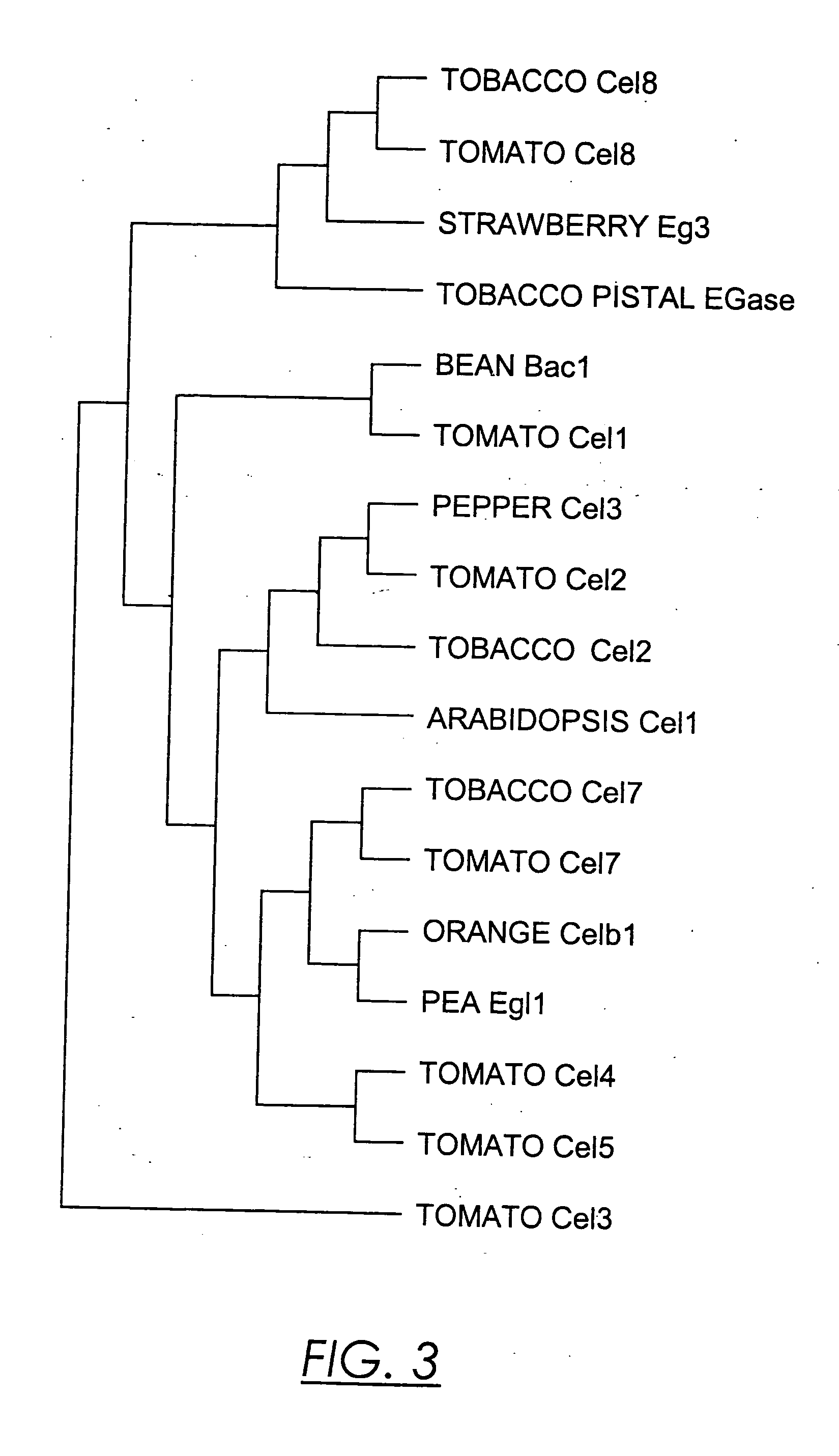 Endoglucanase gene promoter upregulated by nematodes