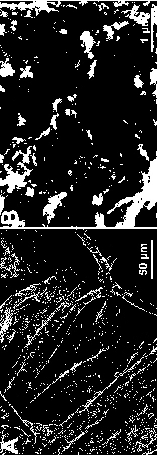 Preparation method for copper ferricyanide/multi-walled carbon nanotube hybrid material with core-shell structure and application of material in adsorption of cesium ions