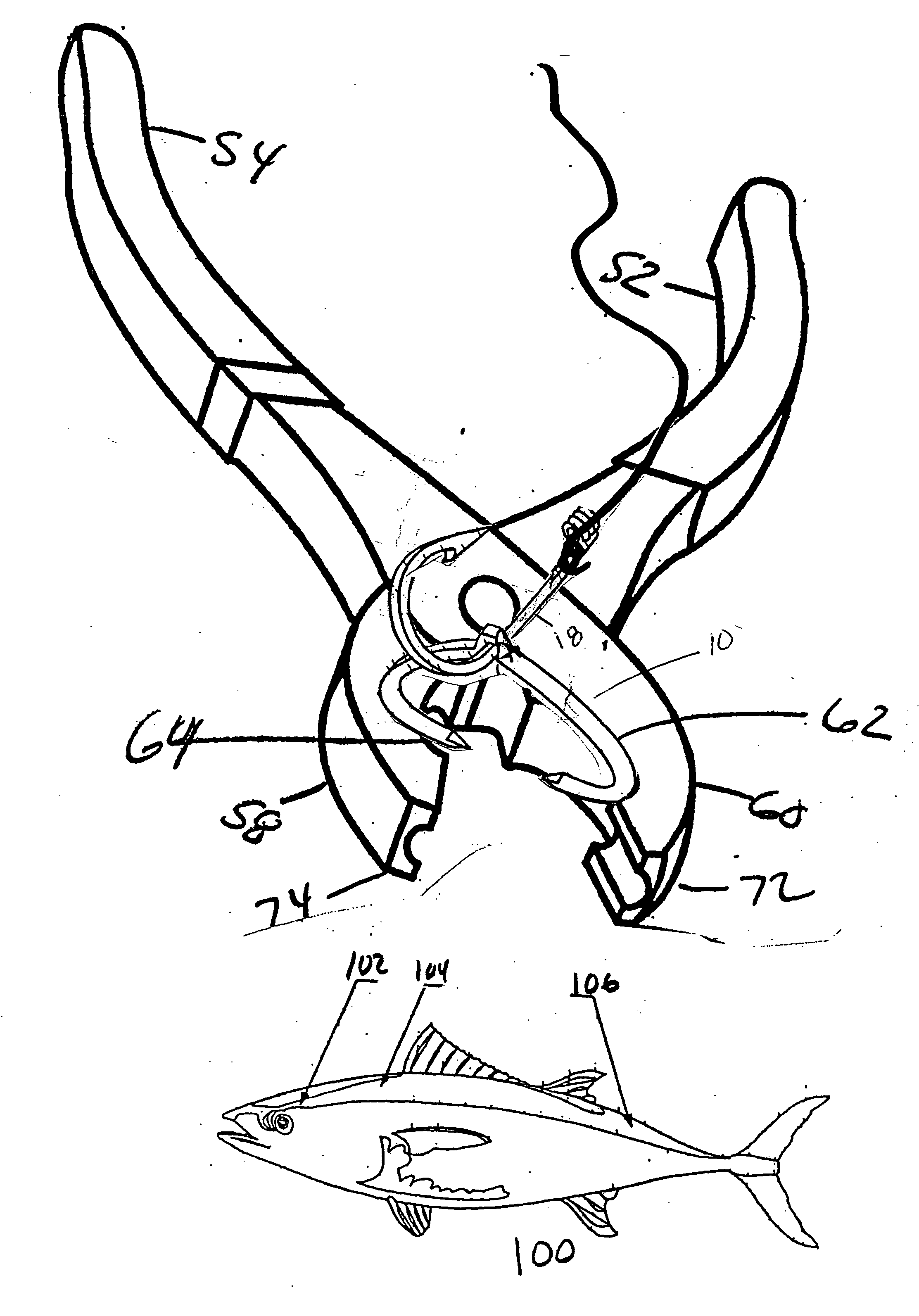 Apparatus and method for securing bait fish