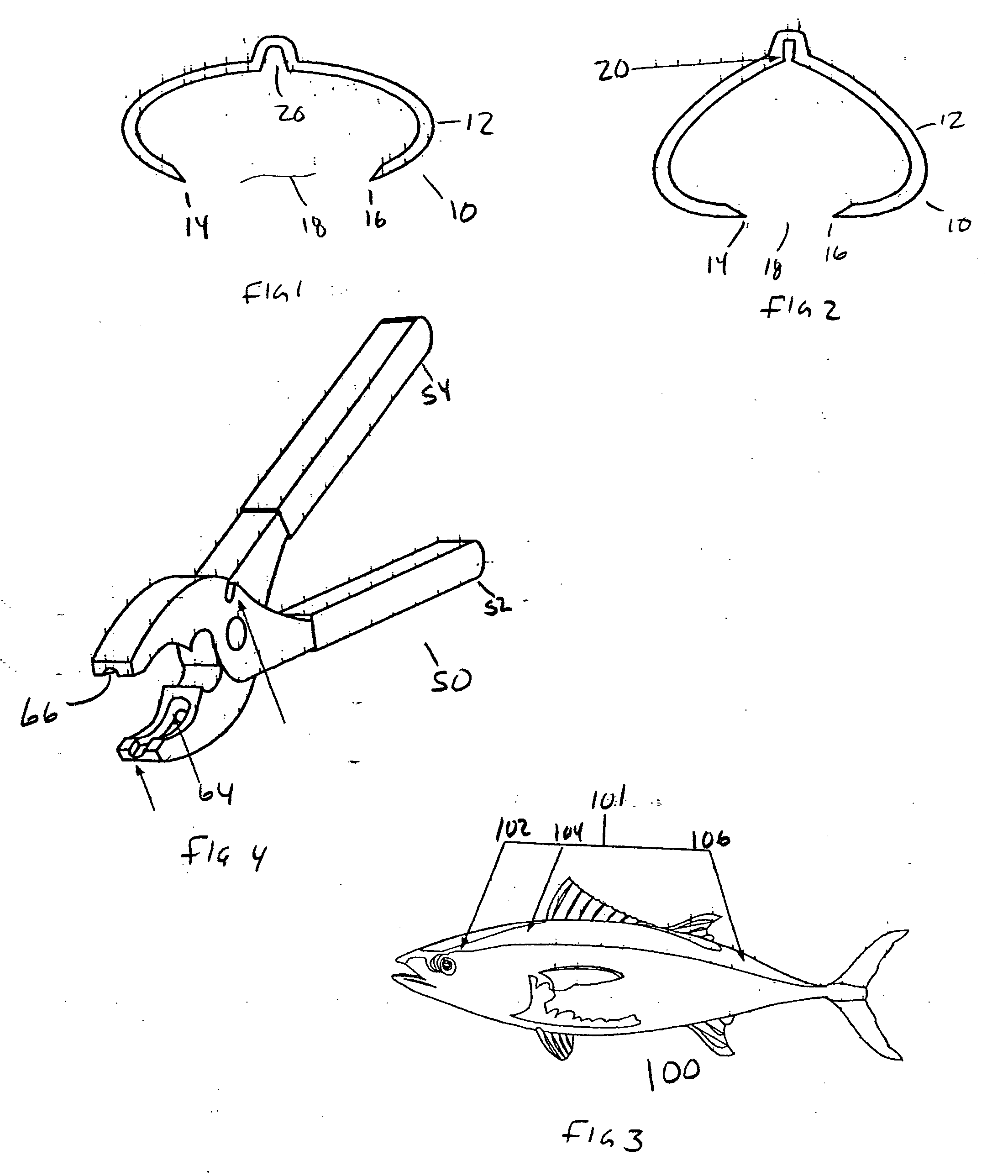 Apparatus and method for securing bait fish