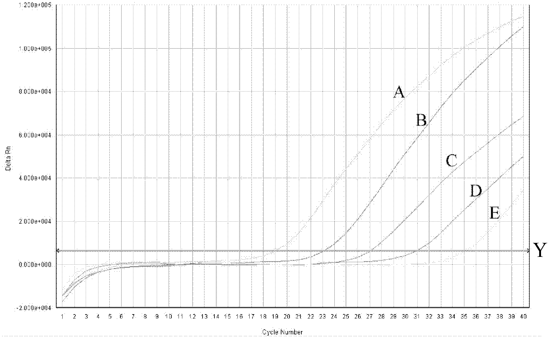 Novel orthobunyavirus fluorescence quantitative detection kit and detection method of virus