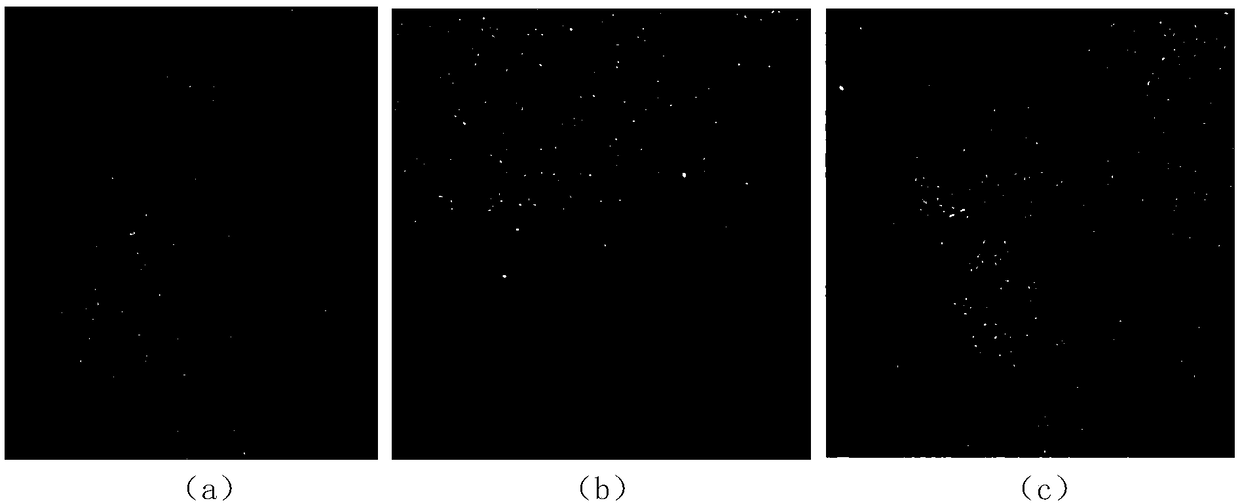 Corneal metaphase preserving liquid containing recombinant human serum albumin and preparation method thereof