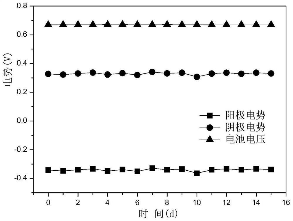 A cross-push flow bioelectrochemical system