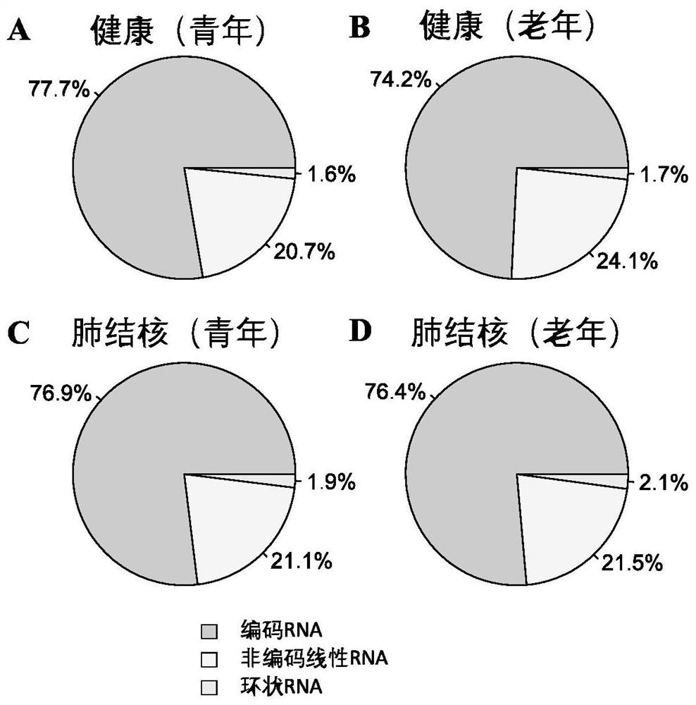 Peripheral blood circular RNA markers and applications for non-invasive diagnosis of active pulmonary tuberculosis