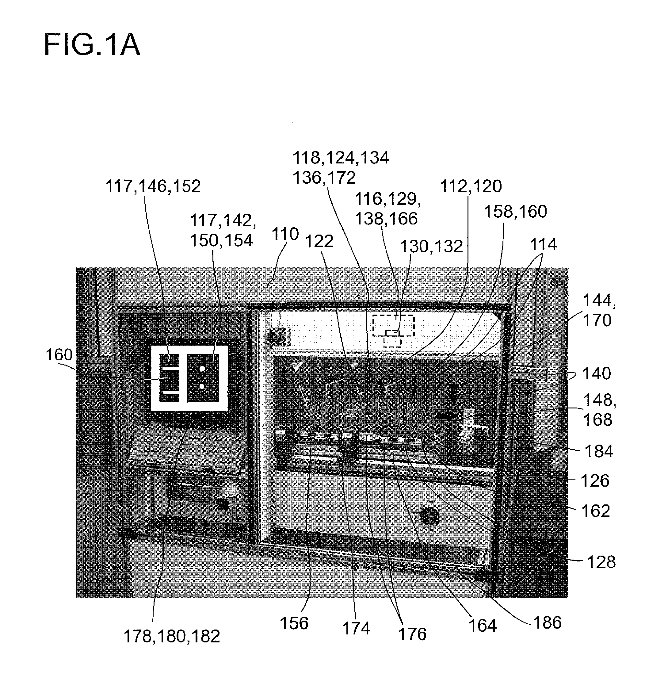 Screening device for screening plant specimens