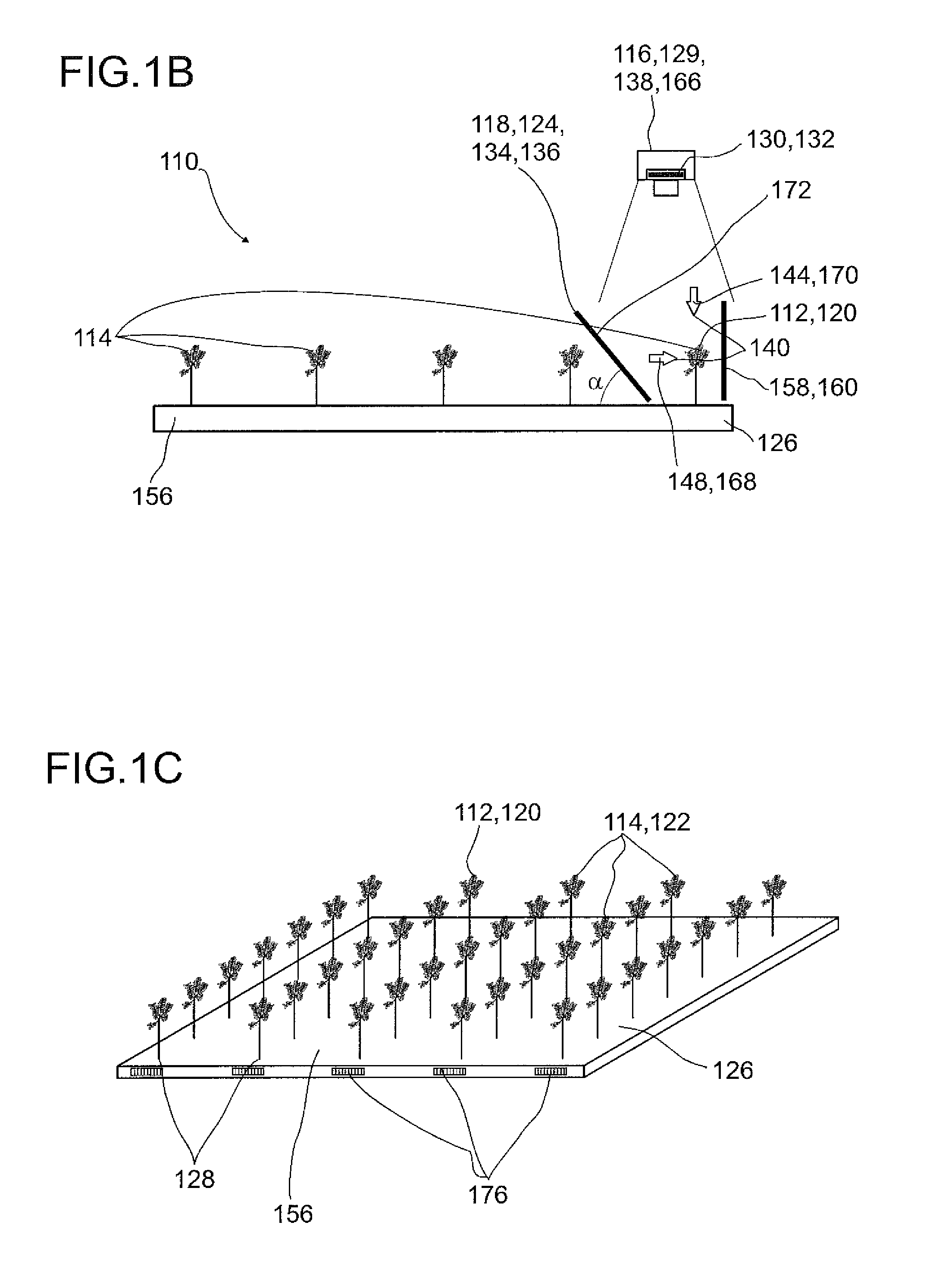 Screening device for screening plant specimens