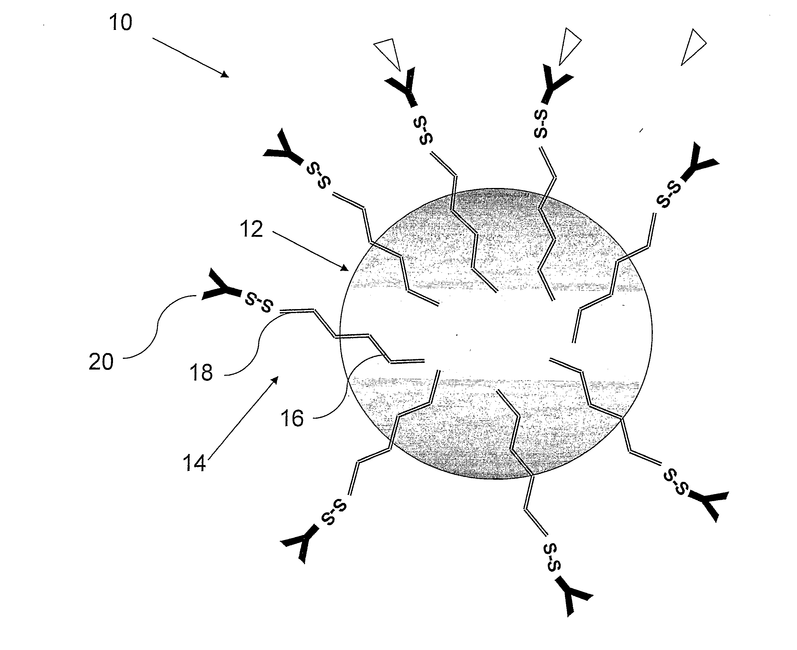 Nanoparticles for Targeted Delivery of Active Agent