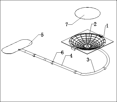 Automatic pigeon egg collecting device