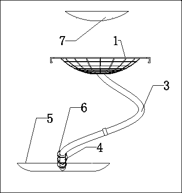 Automatic pigeon egg collecting device