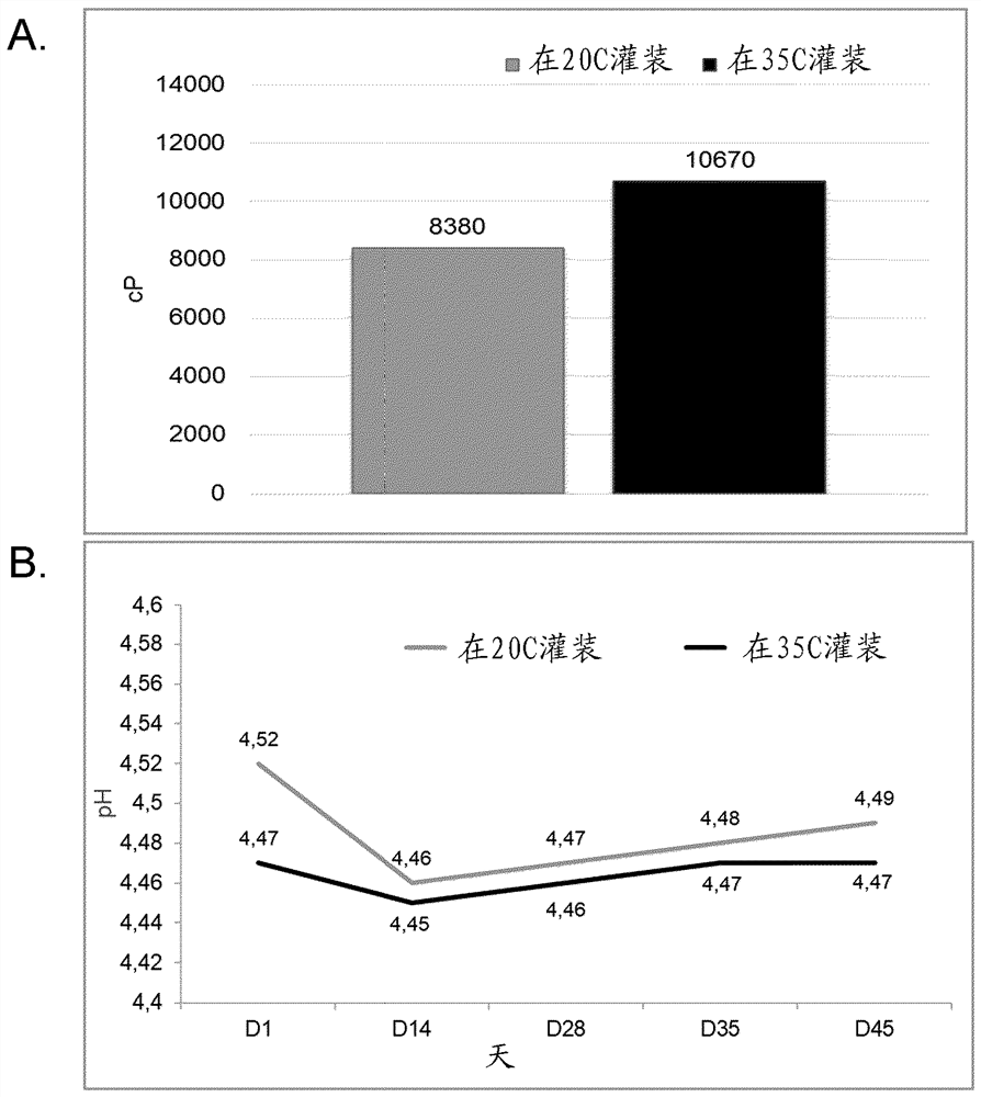 New lactic acid bacteria