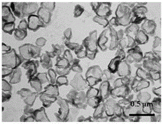 Preparation and application of an electrocatalyst based on a transition metal macrocycle