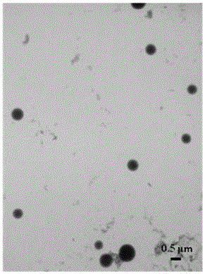 Preparation and application of an electrocatalyst based on a transition metal macrocycle