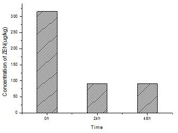 Zearalenone Degrading Enzyme Mutant with Improved Enzyme Activity and Its Encoding Gene and Application