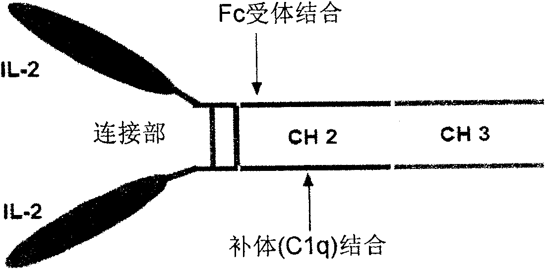 Medicine composition, kit and application thereof