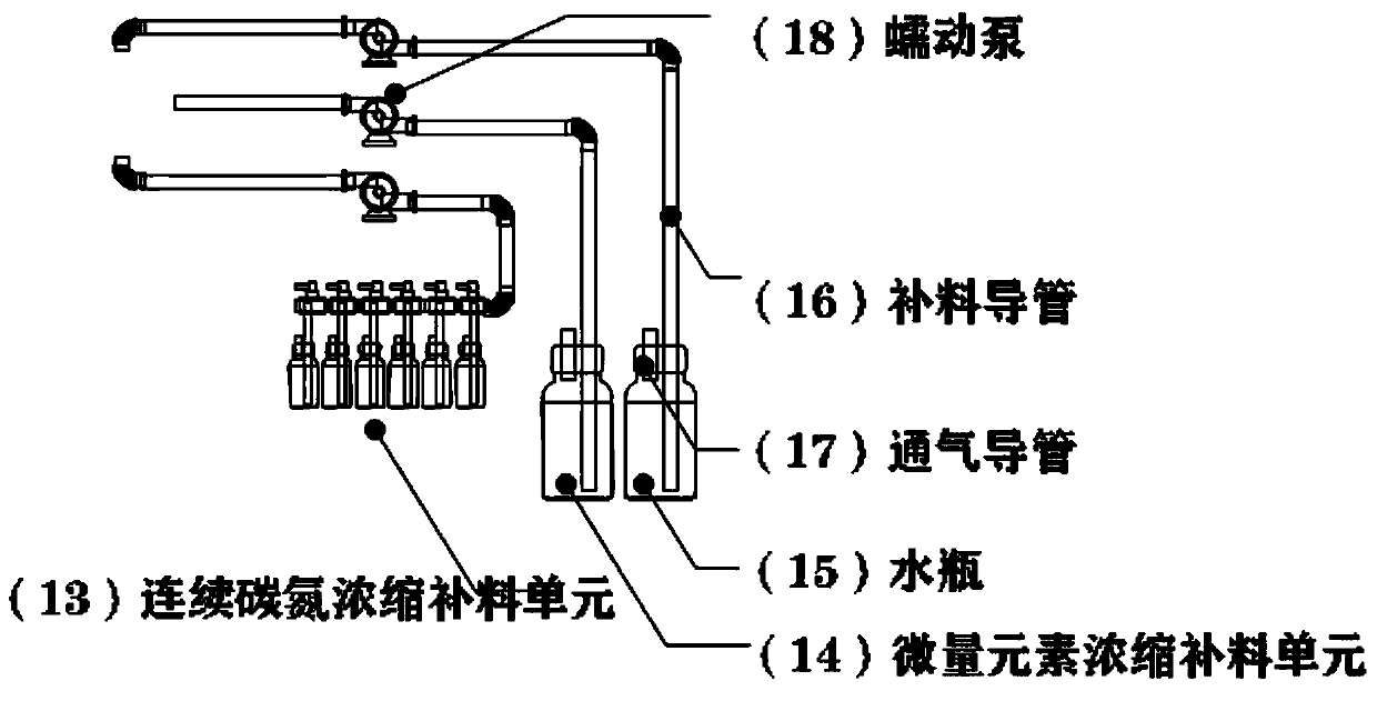 Continuous gradient supplementation method and device applied to efficient expanding propagation of haematococcus pluvialis