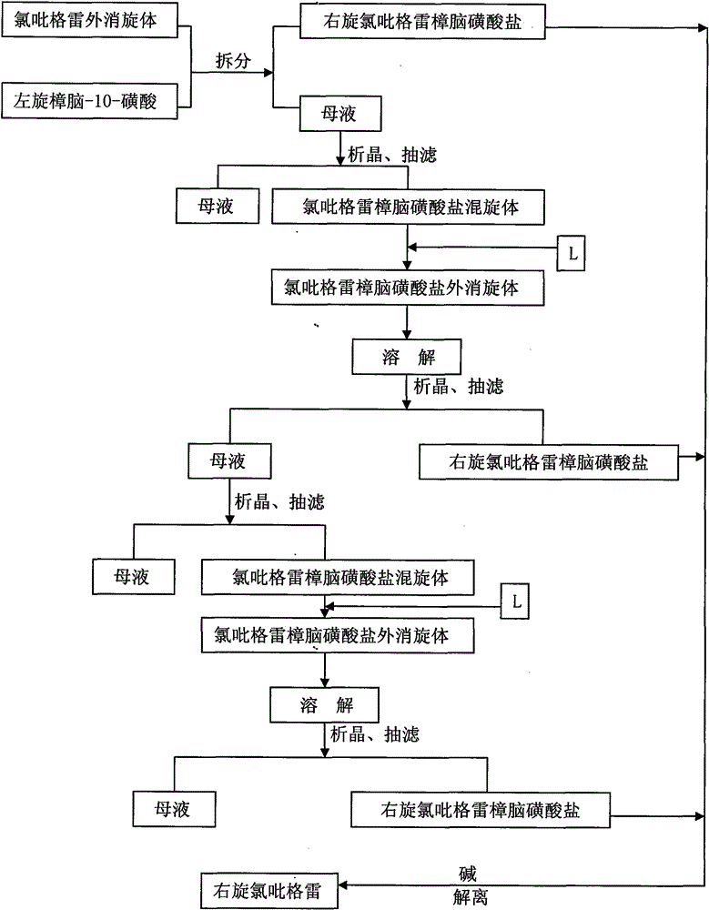 Method for improving resolution yield of clopidogrel camphorsulfonate