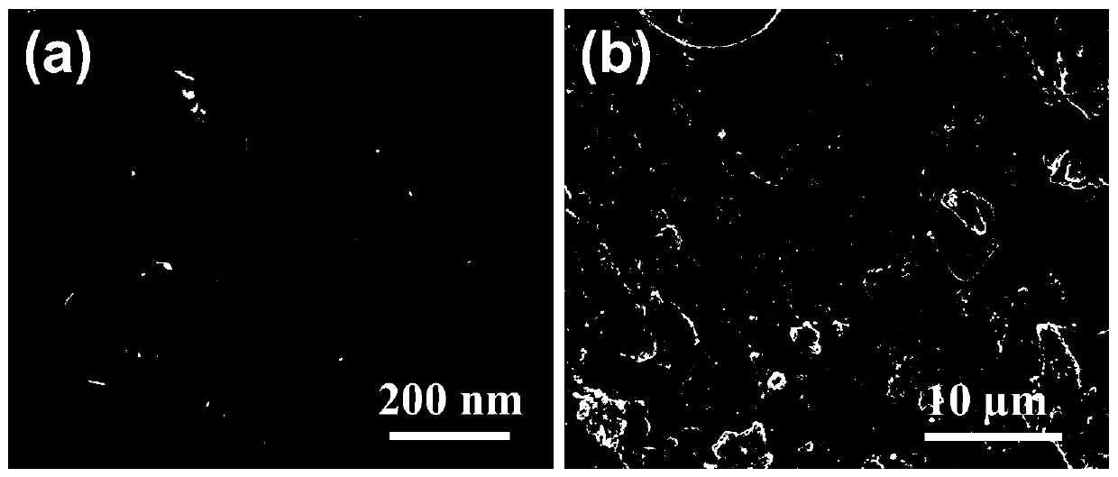 ZnO superfine nano-particles, ZnO slurry, preparation method and application