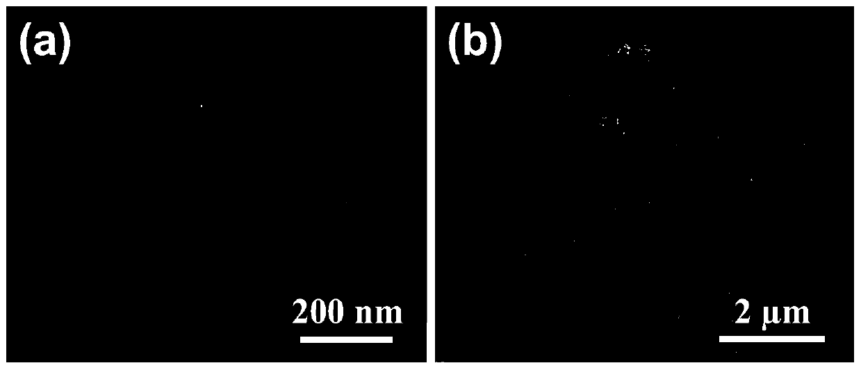 ZnO superfine nano-particles, ZnO slurry, preparation method and application