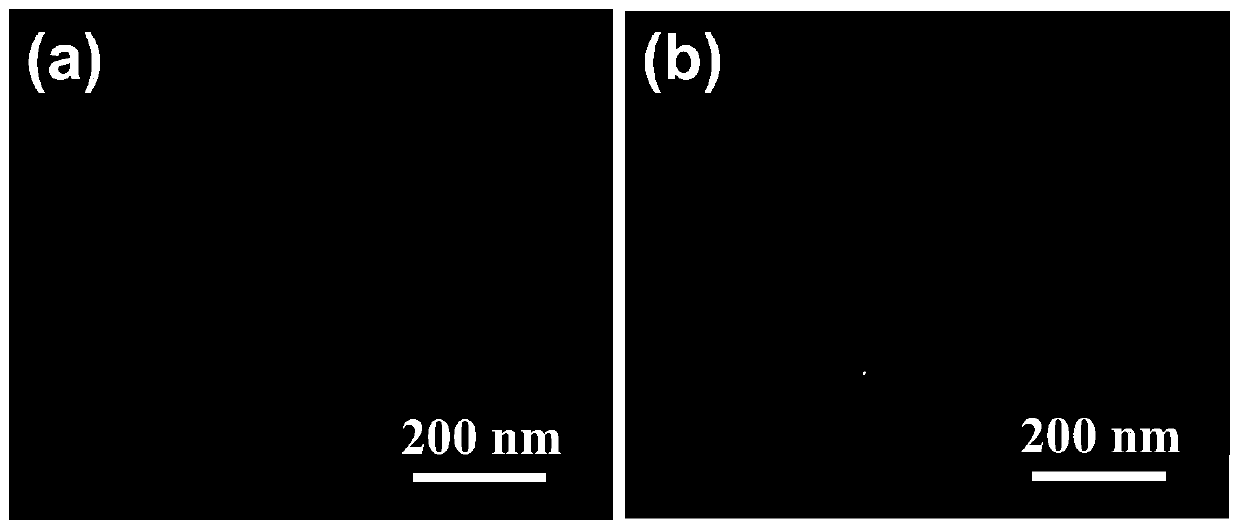 ZnO superfine nano-particles, ZnO slurry, preparation method and application