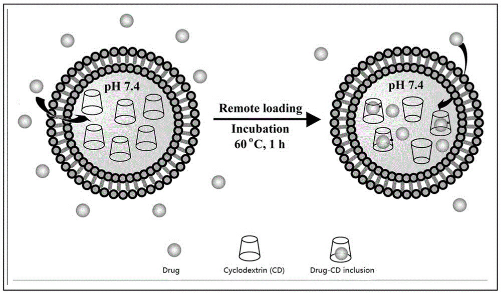 Lipidosome medicine carrying method