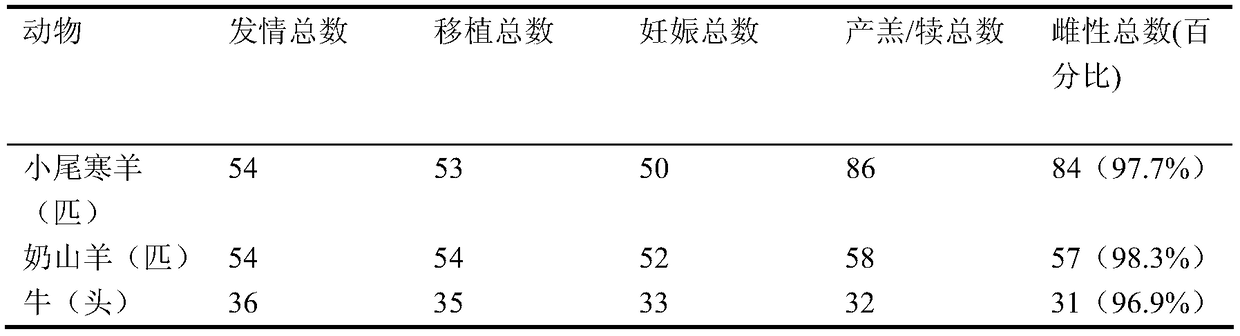 Preparation method and application of uty antibody nanoparticles for rapid separation of cattle and sheep x/y sperm