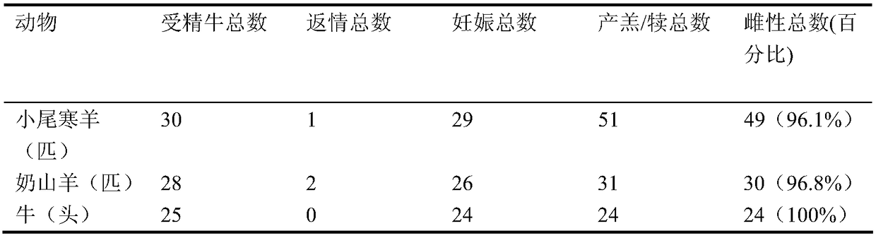 Preparation method and application of uty antibody nanoparticles for rapid separation of cattle and sheep x/y sperm