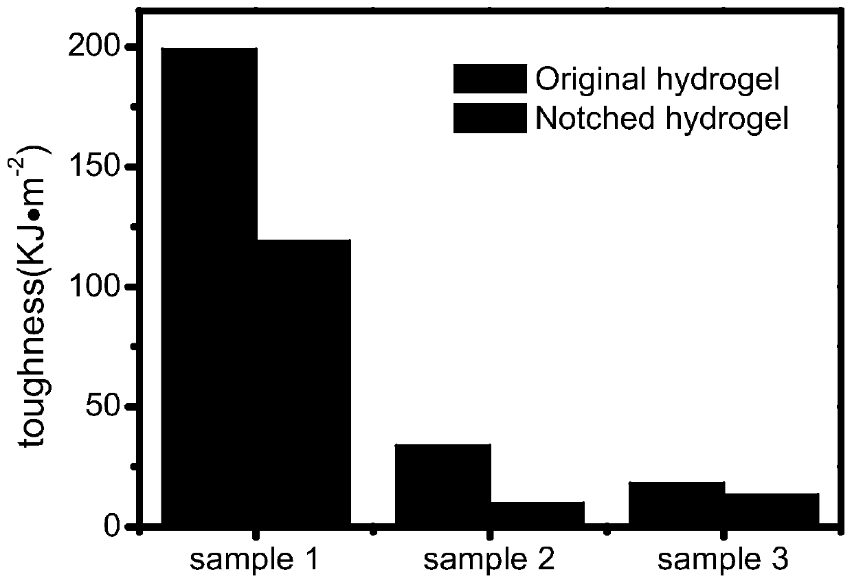 Preparation method of a graphene-type nanocomposite hydrogel with anti-notch sensitivity