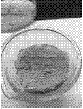 Preparation and application of HP-beta-CD (hydroxypropyl beta-cyclodextrin) functionalized GO (graphene oxide) composite material