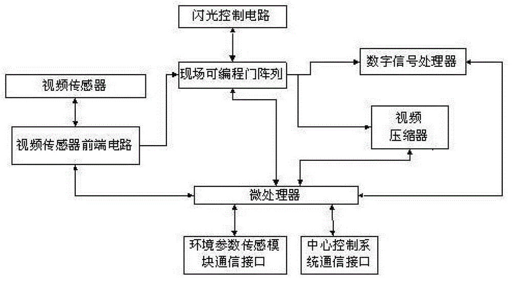 Geologic environment disaster video monitor and geologic environment disaster monitoring method