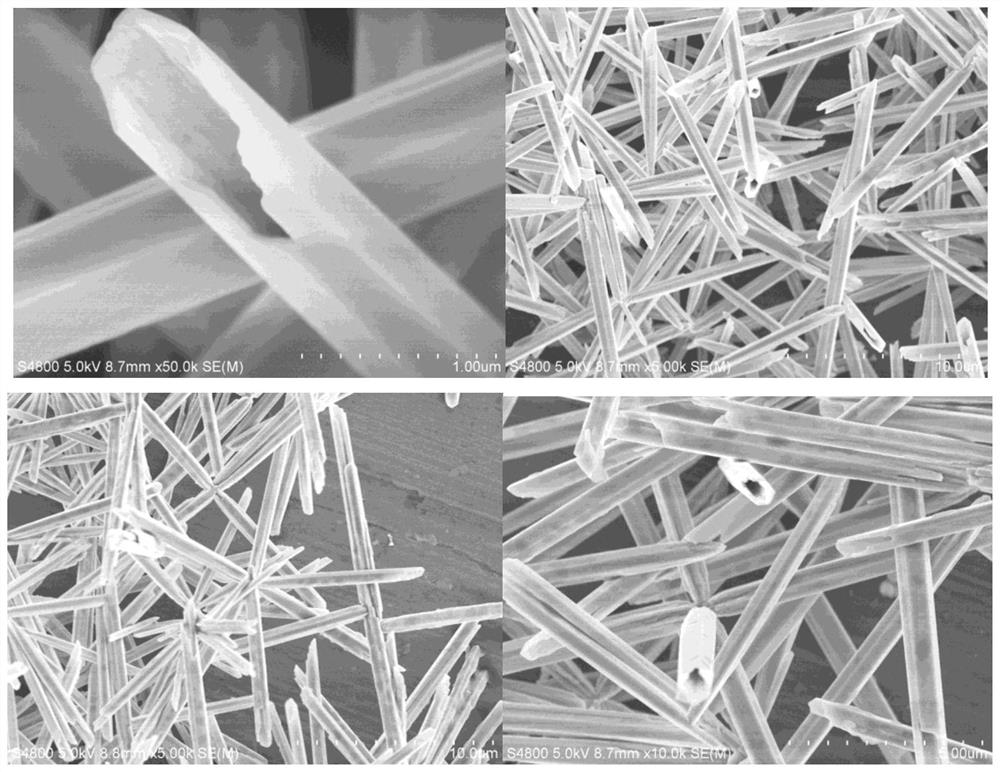 A kind of radial selenium nanotube and its preparation method