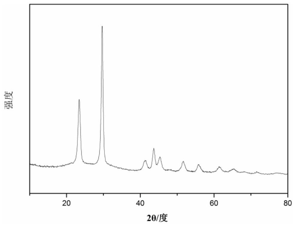 A kind of radial selenium nanotube and its preparation method