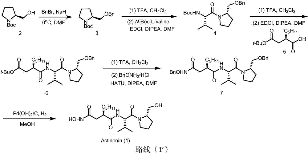 Preparation method of actinonin