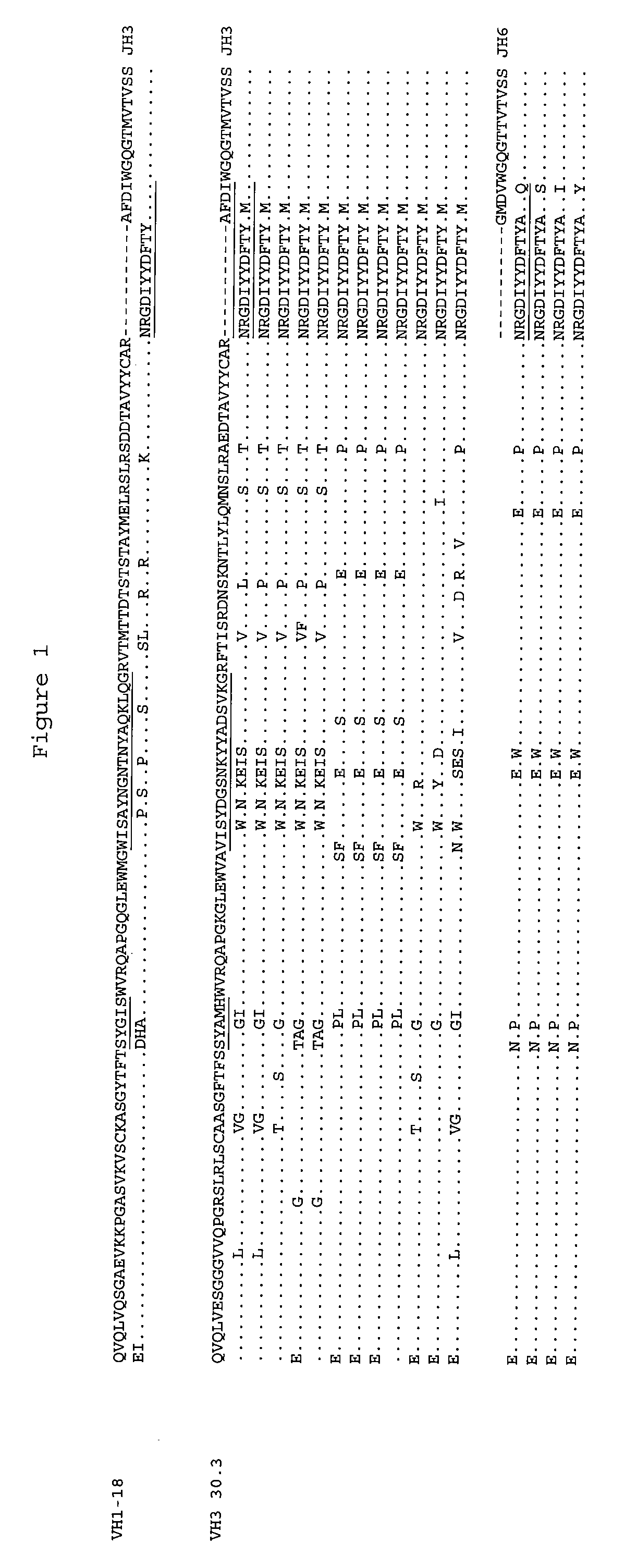 Antibodies to the PcrV Antigen of Pseudomonas aeruginosa