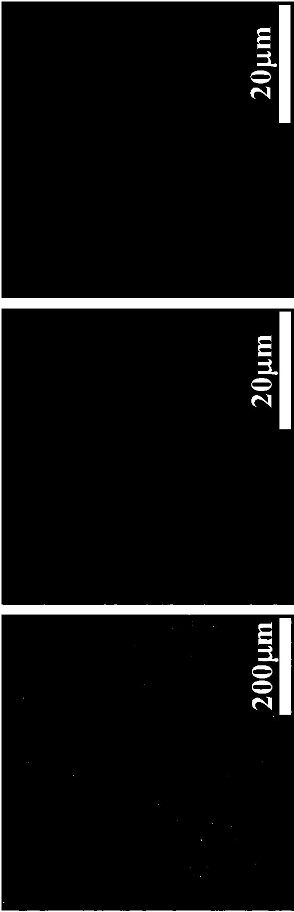 Preparation method for ultrafine-grained beryllium-aluminum alloy and product thereof