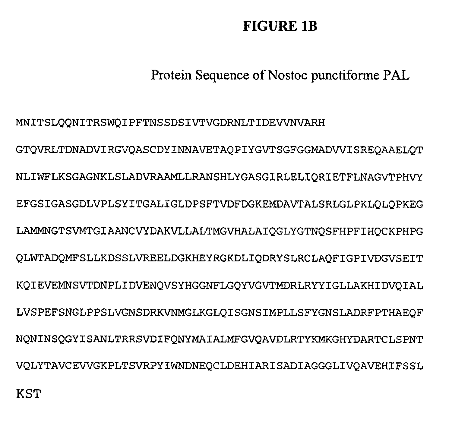 Compositions of prokaryotic phenylalanine ammonia-lyase and methods of using compositions thereof