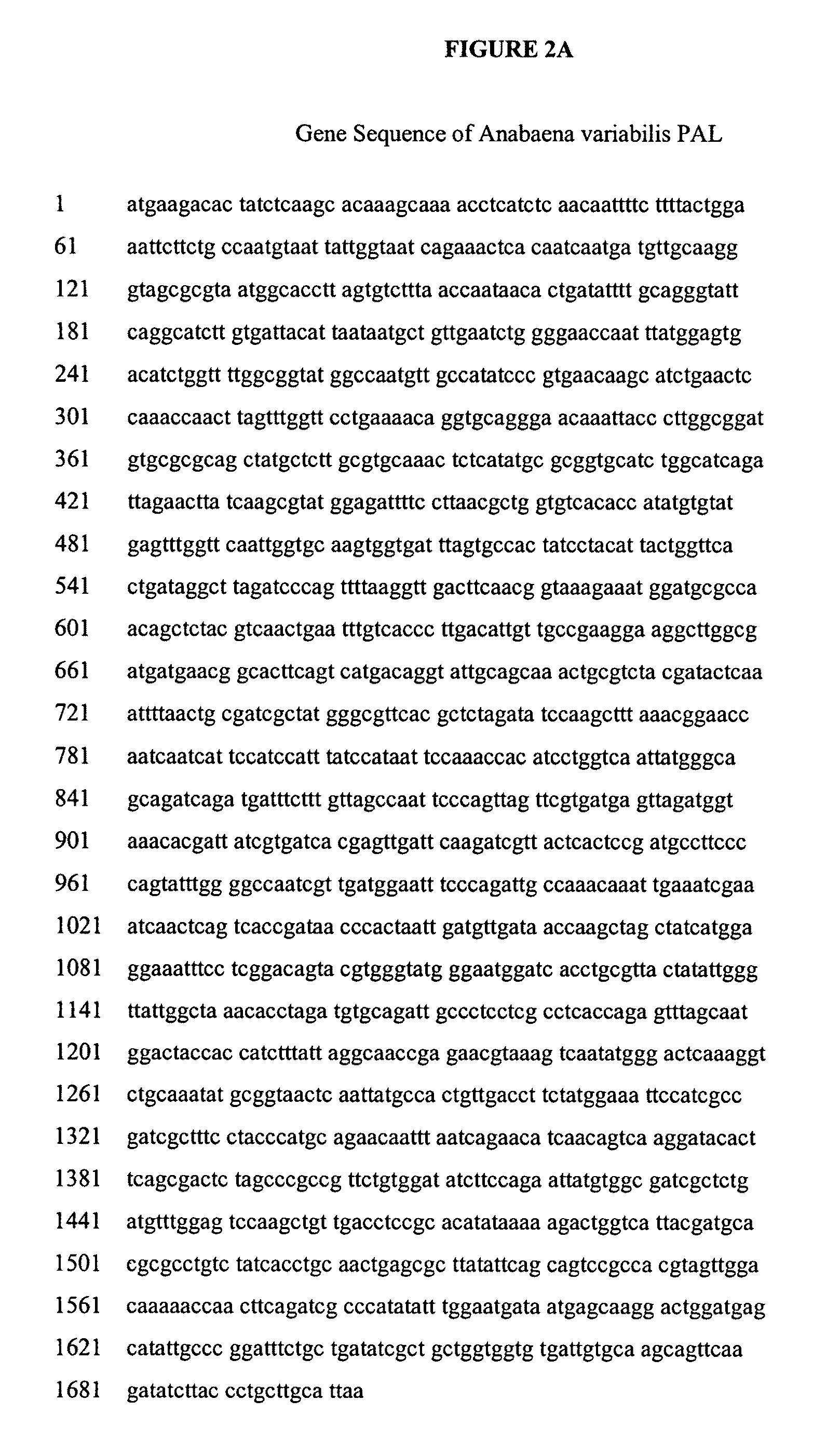 Compositions of prokaryotic phenylalanine ammonia-lyase and methods of using compositions thereof