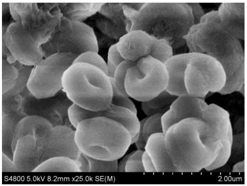 A kind of so3h-sba-15 molecular sieve catalyst that catalyzes the synthesis of t-butyl carboxylate from isobutene and carboxylic acid and its preparation method and application