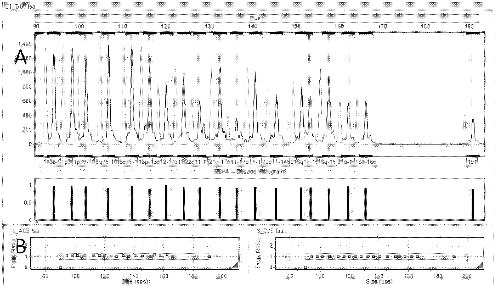 Combination probe for screening multiple anomalysyndrome