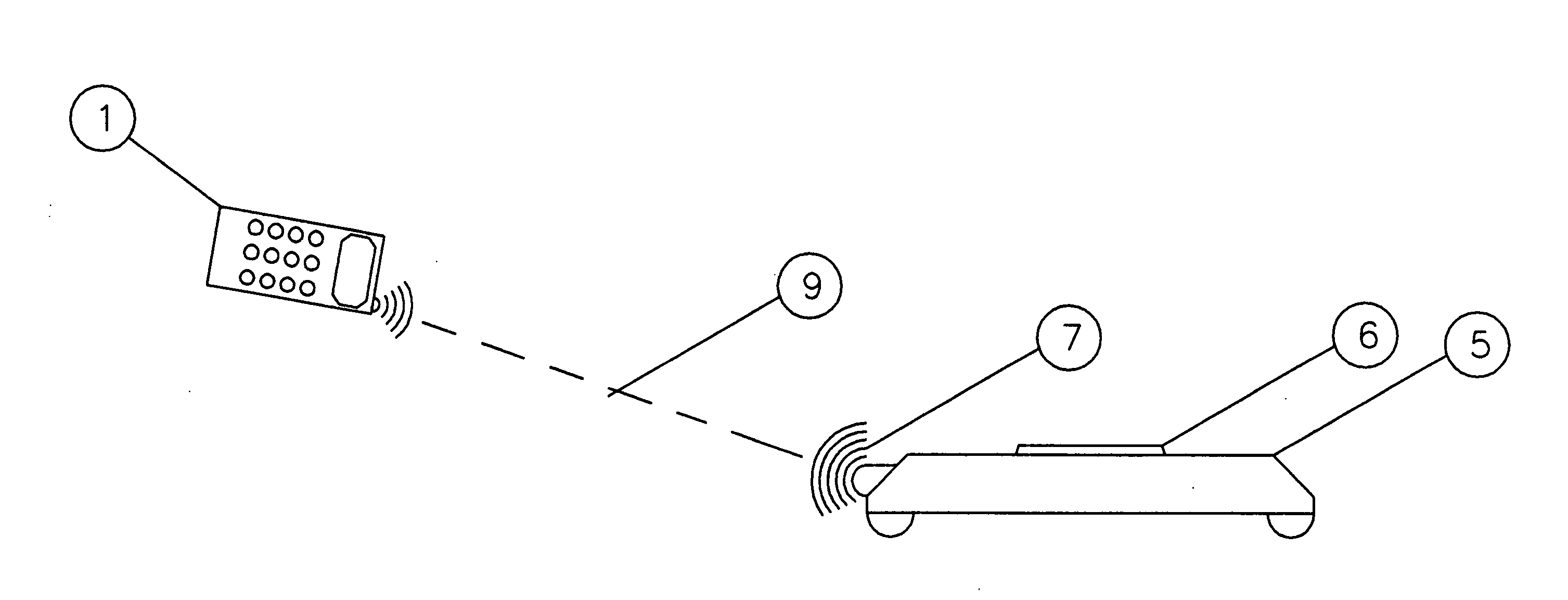 Remotely controlled weight scales